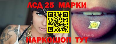 a pvp Гатчина
