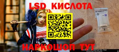 a pvp Гатчина