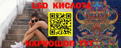a pvp Гатчина