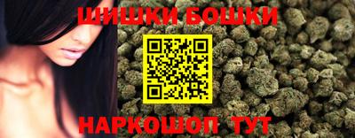 a pvp Гатчина