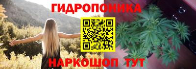 ГАЛЛЮЦИНОГЕННЫЕ ГРИБЫ Гай